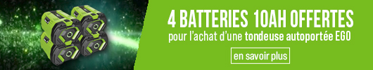 4 batteries offertes
