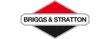 Briggs & Stratton