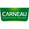 Carneau