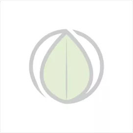 Majar KROMPBFP - Option...